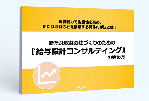 給与制度コンサルティング