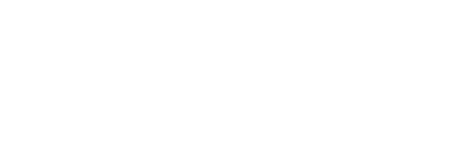 11/25（金）東京