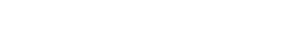 11/8（水）東京